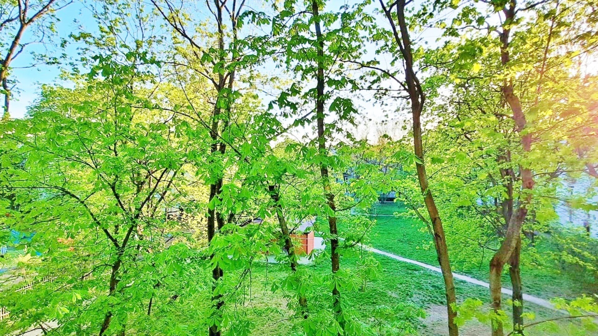 Mieszkanie na wynajem